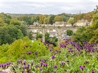 landscape with flowers