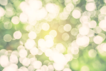 Obraz premium Green bokeh background of nature leaves. Abstract blur image. 