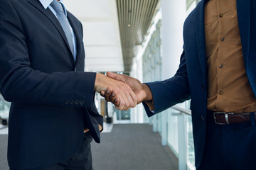 Two businessmen shaking hands