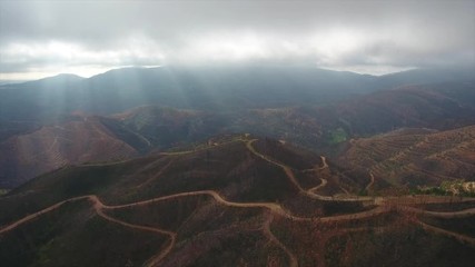 Aerial. Portuguese forest Monchique, after the fires view from the sky.