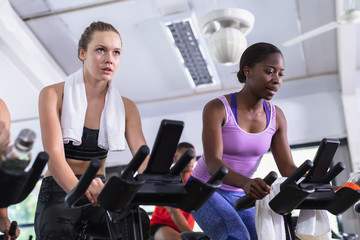 Fototapeta premium Fit women exercising on exercise bike in fitness center