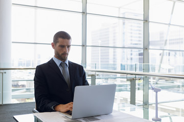 Fototapeta premium Businessman using laptop at work