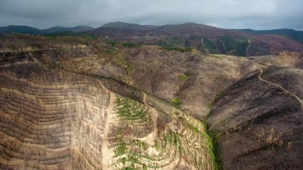 Aerial. Portuguese forest Monchique, after the fires view from the sky.