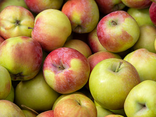 New harvest of apples. Apple background