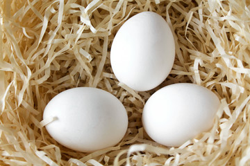 Three white chicken eggs lying in the straw nest. Organic farm natural background. Hen eggs bathed in bright morning sunshine
