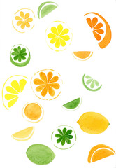 lemon fruits collection of illustrations