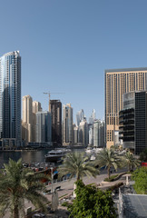 DUBAI, UAE - may 2019: View of modern skyscrapers shining in sunrise lights in Dubai Marina in Dubai, UAE.