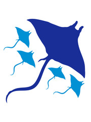 mama stachelrochen babys junge kinder süß schwimmen tauchen silhouette umriss rochen schön unterwasser fisch gefährlich tier meer wasser clipart stechrochen tiefsee