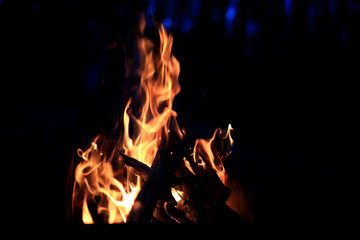 Fire bonfire on a black background,  natural flame