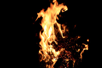 Fire bonfire on a black background,  natural flame