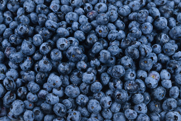 Fototapeta na wymiar Fresh blueberry background. Texture blueberry berries close up.