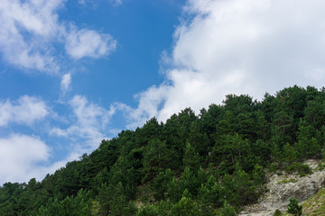 Beautiful summer landscape in Savsat, Artvin province, Turkey