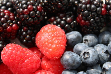 fresh berries on a white background