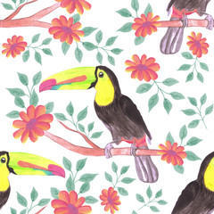 Fototapeta premium Keel billed Toucan bird or Ramphastidae sulfuratus bird seamless watercolor birds and flowers background