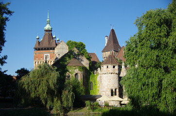 Fototapeta na wymiar castle in Budapest