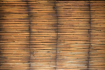 bamboo background