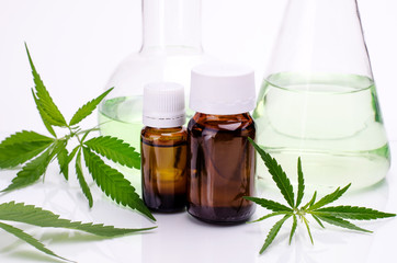 Medical, chemical theme background with cannabis leaves, oil bottle and laboratory glass flasks behind on a white.