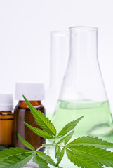 Medical, chemical theme background with cannabis leaves, oil bottle and laboratory glass flasks behind on a white.