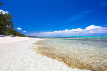 Perfect white beach in the Caribbean island