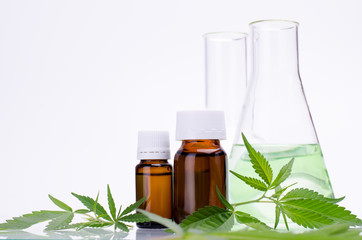 Medical, chemical theme background with cannabis leaves, oil bottle and laboratory glass flasks behind on a white.
