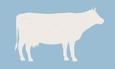 Cow silhouette. Cow icon isolated on blue background. Graphic design for meat shop, grocery, farmers market. Vintage typography. Vector Illustration