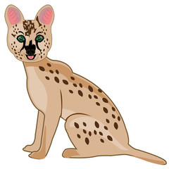 Fototapeta na wymiar African cat serval on white background is insulated
