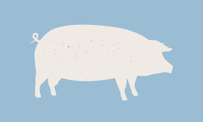 Pig silhouette. pig icon isolated on blue background. Graphic design for meat shop, grocery, farmers market. Vintage typography. Vector Illustration