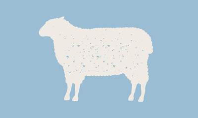 Sheep silhouette. Sheep icon isolated on blue background. Graphic design for meat shop, grocery, farmers market. Vintage typography. Vector Illustration