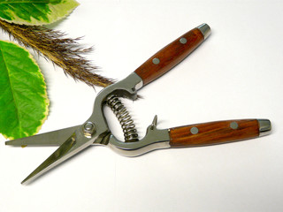Gartenschere mit Holzgriff geöffnet