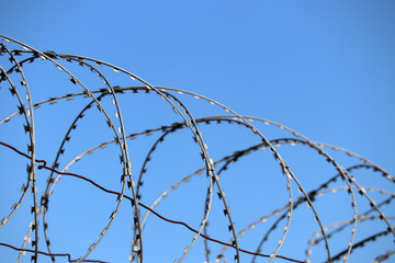 Barbed wire on background of blue sky and white clouds. Concept of boundary, prison, war or immigration