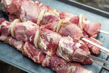 Fototapeta premium Fresh pickled meat sliced into barbecue skewers in a garden