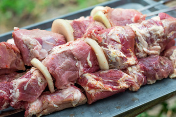 Fresh pickled meat sliced into barbecue skewers in a garden