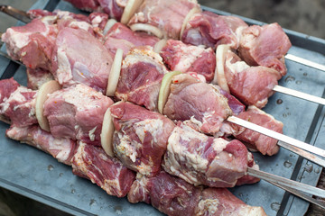 Fresh pickled meat sliced into barbecue skewers in a garden