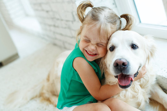 A child with a dog. Girl with a Labrador at home. 