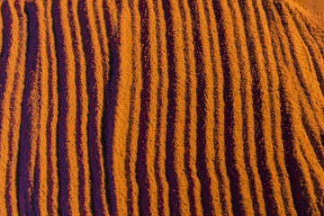 Parallel lines made from sand