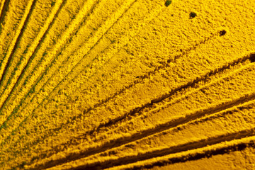 Abstract sun rays made from sand