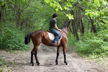 Horse on nature. A rider on the brown horse. Arab guy riding a brown horse in the forest in summer