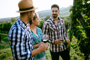 Happy young people tasting wine in vineyard
