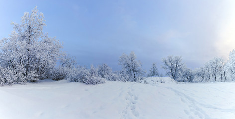 Fototapeta na wymiar winter mountain landscape with snowy trees and snow