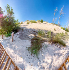 Slowinski National Park is situated on the Baltic Sea coast, near Leba, Poland. Desert landscape...