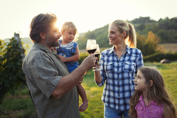 Picture of people tasting red wine in vineyard