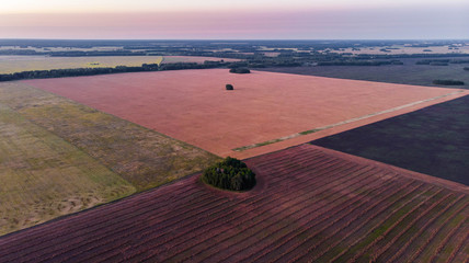 Aerial shot. Amazing view of the fields of different colors against  pink sunset