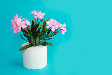 toilet paper roll and pink flowers on a blue background
