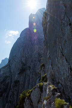 Des Kaisers wilde W&auml;nde