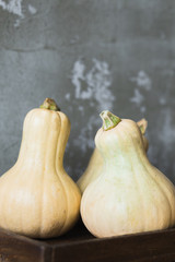 Yellow Halloween pumpkins in wooden tray on grey background