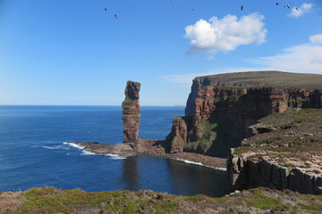 Old Man of Hoy