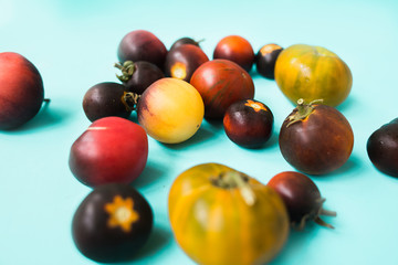 fresh colorful tomatoes on a blue background