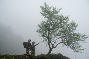 Vietnamese ethnic minority Red Dao women in traditional dress and basket on back with a tree in misty forest in Lao Cai, Vietnam