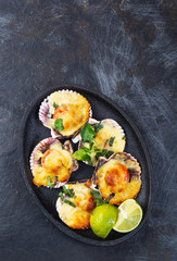 Baked seafood shellfish scallops with cheese and lemon. black background