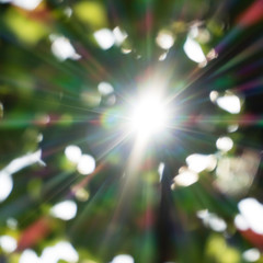 Atmospheric and sunny background with the colors red, orange,yellow, green, blue, indigo and...